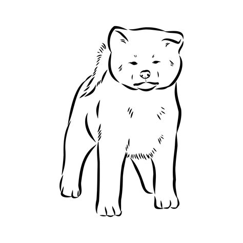 Dibujo De Perro Akita Inu Pintado Por En Dibujos Net El D A A The