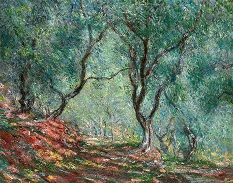 Olive Tree in the Moreno Garden Painting by Claude Monet Reproduction ...