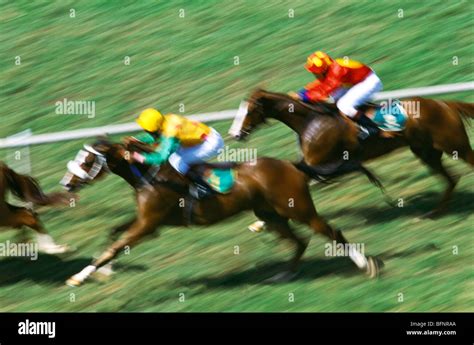 Horse Racing ; Mahalaxmi racecourse ; Bombay ; Mumbai ; Maharashtra ...