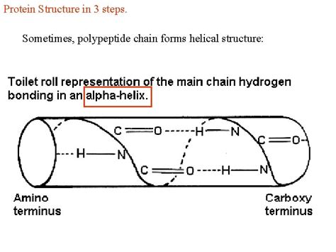 Computational methods in molecular biophysics examples of solving