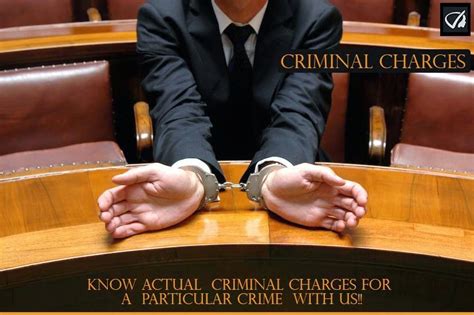 Instant Profiler Criminal Charges Know Actual Criminal Charges For A Particular Crime With Us