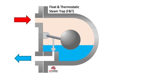 Steam Trap Diagram Trap Purpose