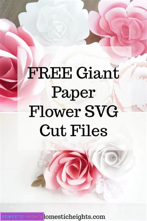 Giant Paper Flower Template Svg Best Flower Site