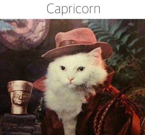 30 Best Memes About Being A Capricorn SayingImages