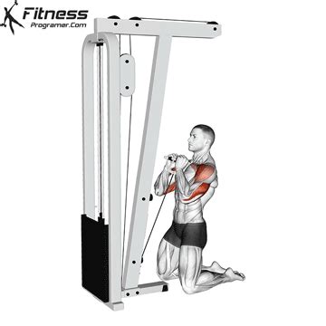 Kneeling Cable Shoulder Press » Workout Planner