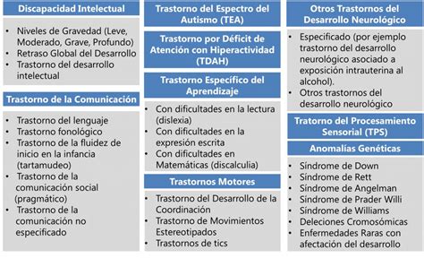 El mágico neurodesarrollo Psicologia Amorebieta