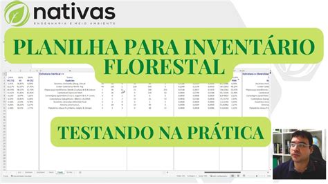 Planilha para Inventário Florestal 100 prática e operacional YouTube