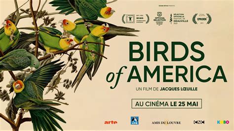 Arte Pro On Twitter Au Cin Ma Le Film Documentaire Birds Of