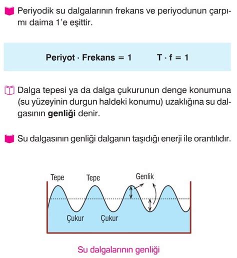 Su Dalgalar Dalgas Konu Anlat M Sorular Z Mleri Ders Notu