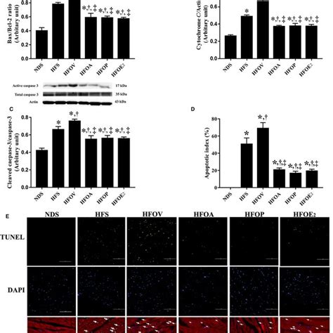 Effects Of Atorvastatin Pcsk Inhibitor And Oestrogen On Pcsk