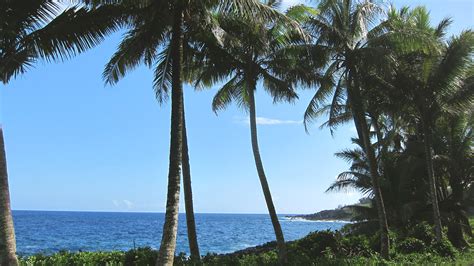 Kapohored Roadkalapana Big Island Hi Usa Kirsty Parker Flickr