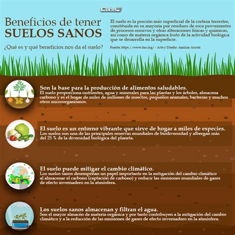 Por Qu Es Importante La Conservaci N De Los Suelos Info