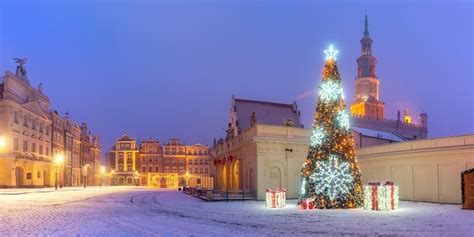 Premium Photo Panorama Of Poznan Town Hall And Christmas Tree At Old