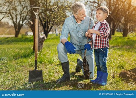 Petit Gar On Gai Et Son Grand P Re Plantant L Arbre Photo Stock Image