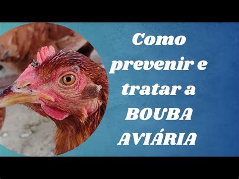 Como previnir e tratar Bouba aviária Gogo de caroço YouTube