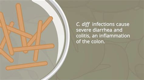 C Diff Infections Pathophysiology And Nursing Interventions YouTube