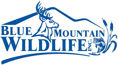 Blue Mountain Wildlife