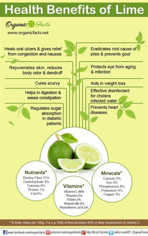 Health Benefits of Lime | Organic Facts | Health benefits of lime ...