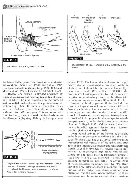 Essentials Of Musculoskeletal Care 5th Edition 6