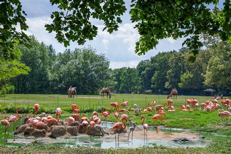 Tierpark Berlin Friedrichsfelde Mamilade Ausflugsziele