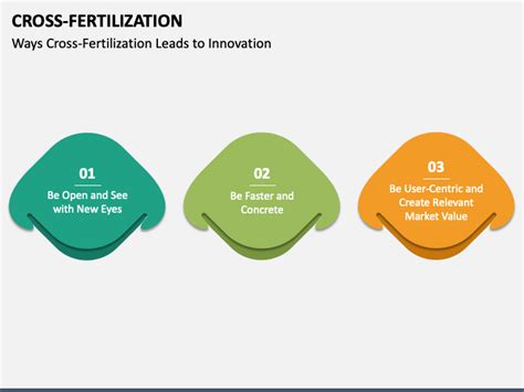 Cross-Fertilization PowerPoint and Google Slides Template - PPT Slides