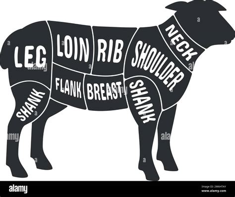 Lamb Meat Cut Scheme Butcher Black Diagram Isolated On White