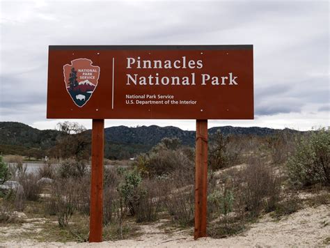 American Travel Journal: Wildlife - Pinnacles National Park