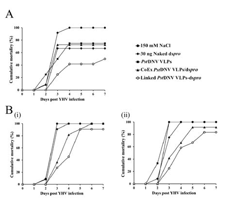 Inhibitory Effect Of Linked PstDNV VLPs Dspro Against YHV Infection In