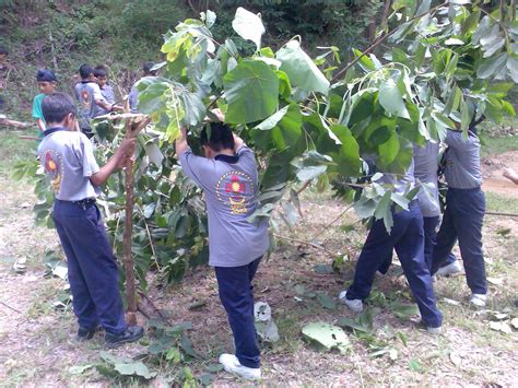 Sk Bukit Gambir Aktiviti Perkhemahan Pengakap