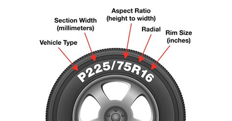 Tire Dimensions Explained Diagram