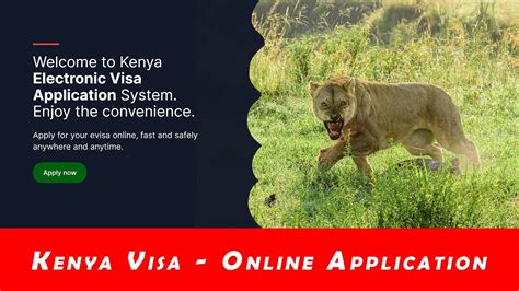 How To Apply For Kenya Visa Online Youtube