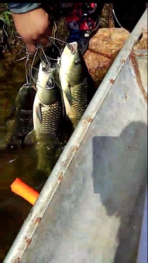 「三」釣魚小技巧之 要想釣的多必須先打窩，那些不懂得垂釣技巧 每日頭條