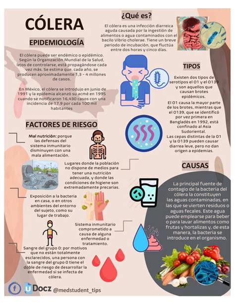 Síntomas y causas de la enfermedad del Cólera Suyapa Medios Hot Sex