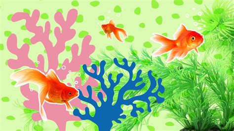 5 Fish Tank Decorations To Turn Your Aquarium Into Your Pet’s Happy ...