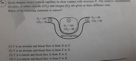 Given Diagram Shows A Blood Capillary In Close Contact With Structure Y