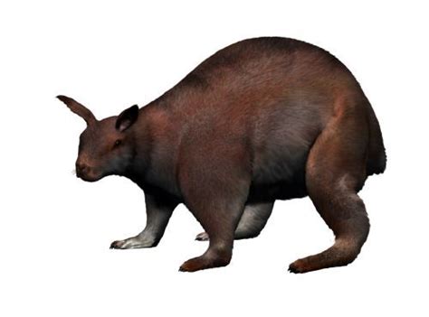 The 20 Biggest Prehistoric Mammals