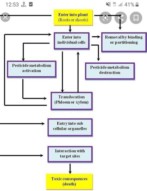 Result Images Of Draw Flow Chart For Crop Production Management Png