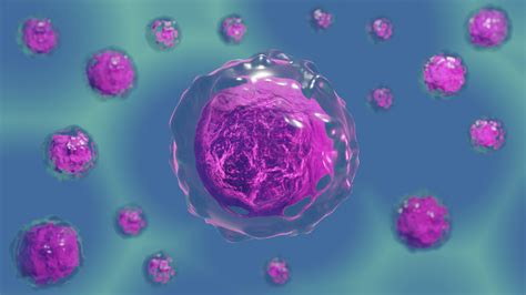 Ready To Use Hydrogel Kit For 3d Cell Culture Cultivation