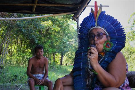 Luta por terra sagrada une indígenas de diversas etnias em Pernambuco