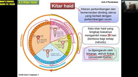 007 Sains Tg 1 Bab 4 Subtopik 4 3 Kitar Haid Bah 1 Youtube