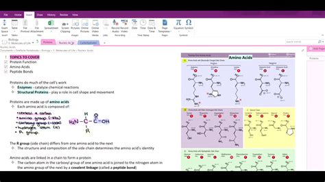 Editing Pdf In Onenote