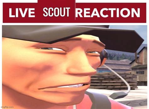 Live Scout Reaction Blank Template Imgflip