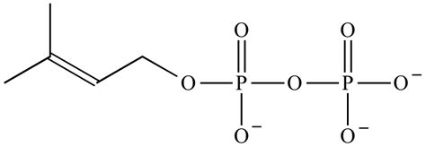 Illustrated Glossary of Organic Chemistry - Dimethylallyl pyrophosphate