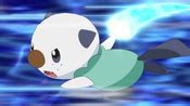 Ash's Oshawott | Pokémon Wiki | Fandom