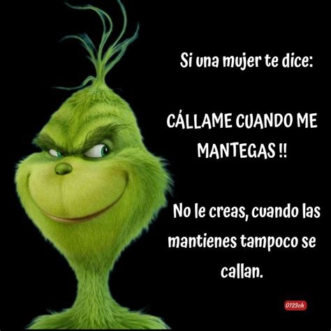 Pin De Cintia En Chistes Frases Del Grinch Frases De Ex Amores