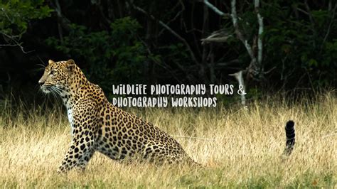 Mentored Nature Photo Tours, Wildlife Photography Workshops