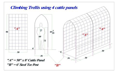 Garden Trellis & Screening | Garden Fence Panels & Gates: Arch Trellis Cattle Panel