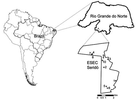 Map Of South America Showing Brazil Thick Line And Rio Grande Do