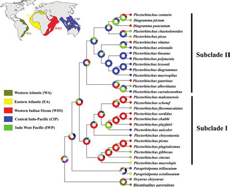 Ancestral Area Reconstruction Obtained Using BioGeoBEARS For