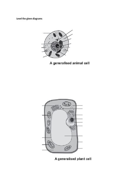 Biology Igcse Diagrams Leveling Pdf